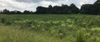807 Belk Dr photo